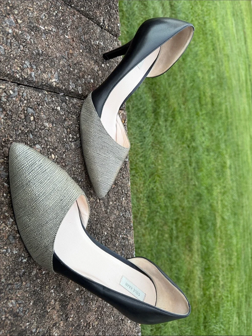 Cole Haan Two-Tone Pointed D'Orsay Heels in Black and Metallic Silver